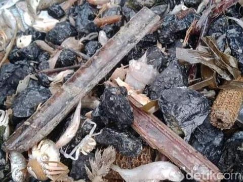 Nelayan di Kabupaten Batang tangkap batu, Selasa (22/12/2020).