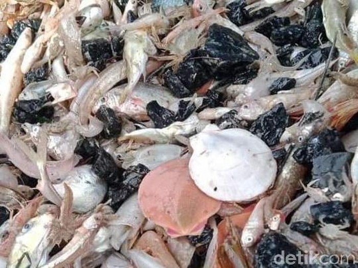 Nelayan di Kabupaten Batang tangkap batu, Selasa (22/12/2020).
