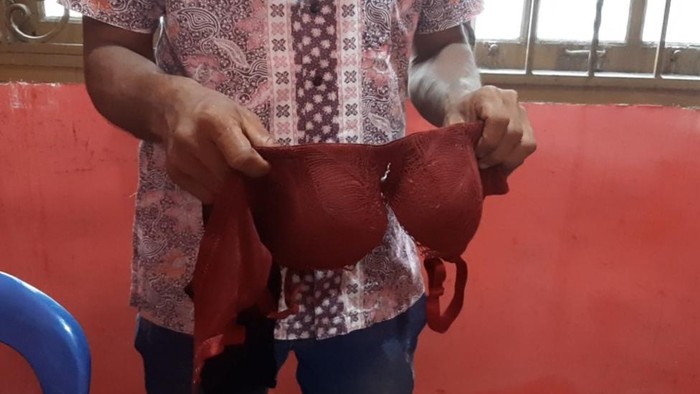 Pria di Riau ditangkap polisi gegara diduga curi pakaian dalam wanita (Dok. Istimewa)