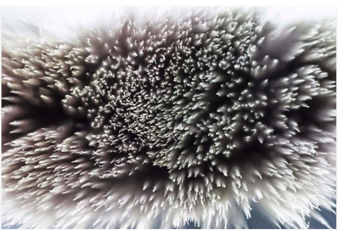 Confused woman and question marks high quality studio shot