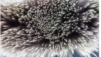 Kira-kira ini gambar apa? Foto: via Readers Digest