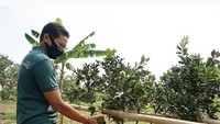 Sandiaga Uno juga pernah berkunjung ke Kampung Agrinek di Pandeglang. (sandiuno/Instagram)