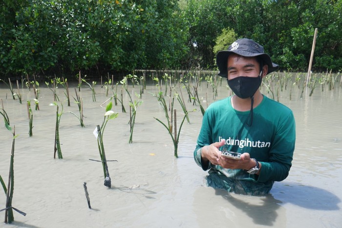 Diluncurkan bulan September lalu fitur serap jejak karbon dari Gojek, GoGreener Carbon offset memasuki babak baru setelah berhasil mencapai target penanaman pohon fase pertamanya.