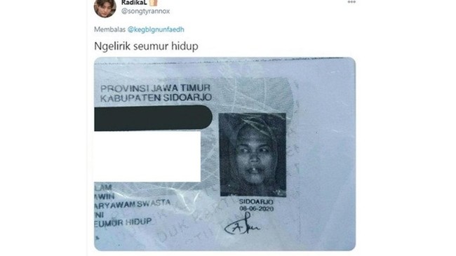 Lirikan sinis banget nih si ibu, bikin yang lihat auto takut. Ngakak! Foto: Twitter/@songtyrannox