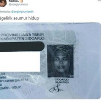 Lirikan sinis banget nih si ibu, bikin yang lihat auto takut. Ngakak! Foto: Twitter/@songtyrannox