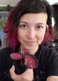 Foto seperti bunglon