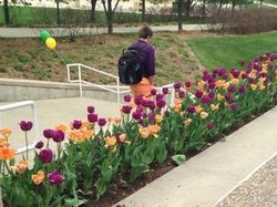 Kocak! Ketika Orang Menyatu dengan Lingkungan Sekitarnya