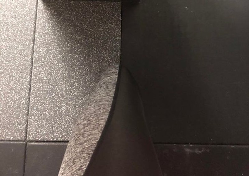 Foto seperti bunglon