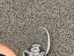 Kocak! Ketika Orang Menyatu dengan Lingkungan Sekitarnya