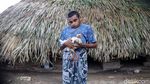 KUR BRI Bantu Peternak Ayam Rumahan