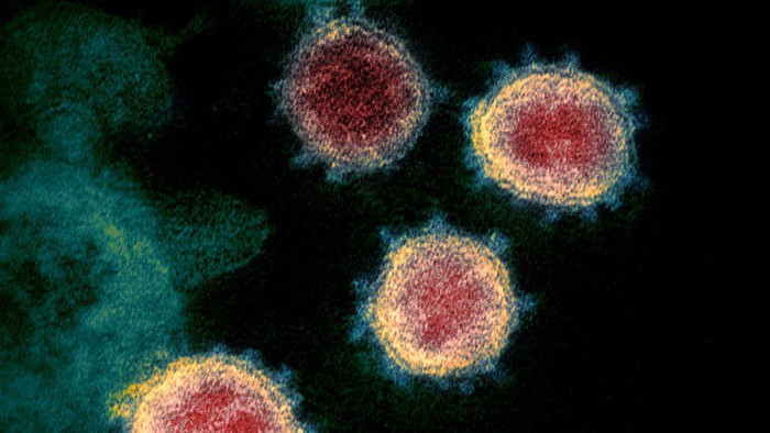 Varian baru Covid-19: Varian baru virus corona yang lebih banyak menginfeksi anak muda ditemukan di Afrika Selatan