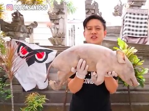 5 Aksi Mukbang Babi Guling yang Curi Perhatian, dari Medan hingga Bali!