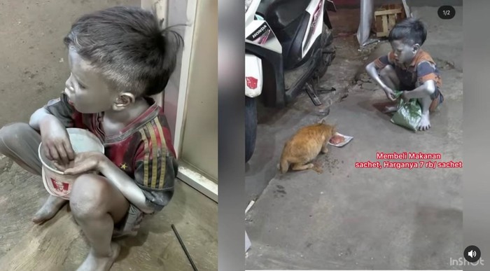 Bocah Silver Ini Menahan Lapar Demi Beri Makan Kucing Jalanan