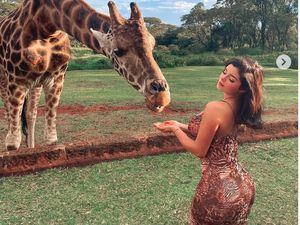 Wild! Demi Rose Tampil Seksi ala Macan hingga Ular