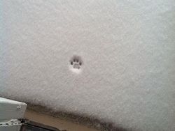 Kumpulan Foto Salju yang Satisfying Bikin Kagum