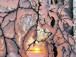 Kumpulan Foto Salju yang Satisfying Bikin Kagum