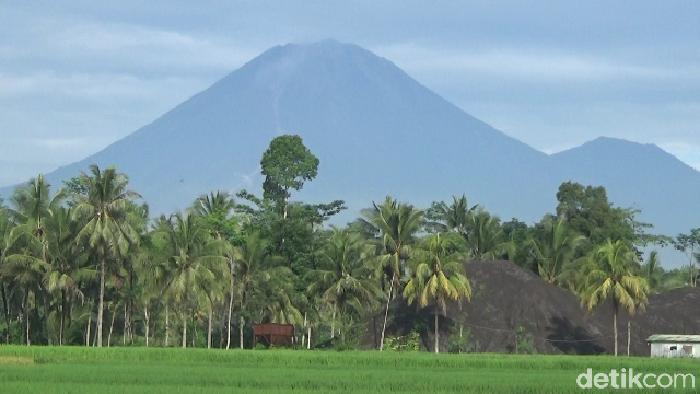 Gunung Semeru masih fluktuatif. Rabu (23/12) sore, gunung ini mengeluarkan awan panas sejauh 3,5 km dari puncak kawah.