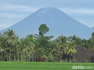 Gunung Semeru Masih Fluktuatif dan Berpotensi Luncurkan Awan Panas