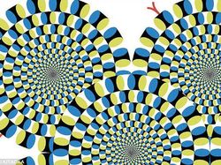 15 Ilusi Optik yang Siap Melelehkan  Pikiran Kamu