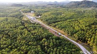 Sementara itu, berbeda sekali dengan beranda Malaysia yang terlihat sangat kecil dan bangunan biasa saja. Lokasinya juga berada tidak jauh dari gerbang Indonesia dan dikelilingi perkebunan Kelapa Sawit.