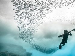 Karya Jawara Ocean Photography Awards Pukau Mata