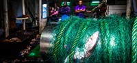 Ocean Photography Awards 2020