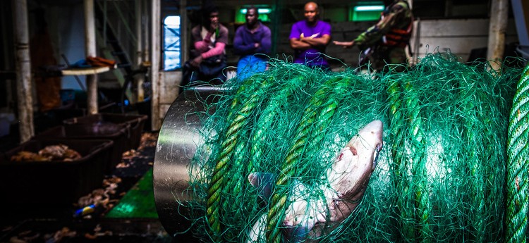 Ocean Photography Awards 2020