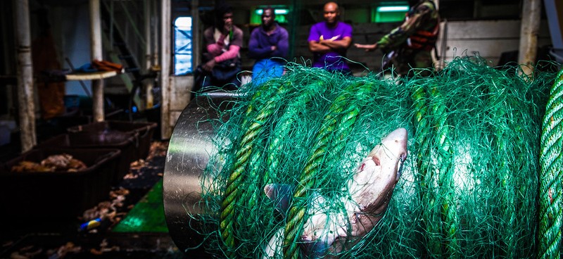 Ocean Photography Awards 2020