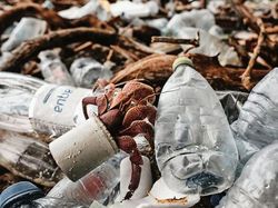 Karya Jawara Ocean Photography Awards Pukau Mata