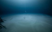 Ocean Photography Awards 2020