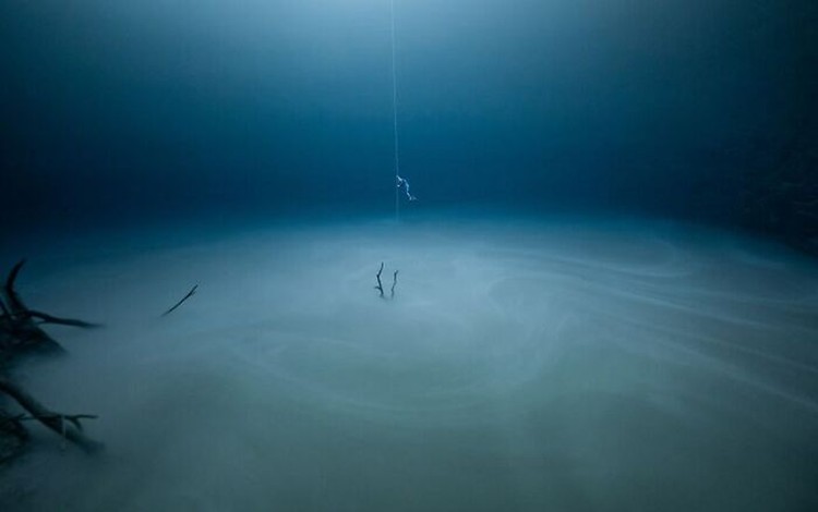 Ocean Photography Awards 2020