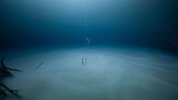 Adventure Photographer of the Year diraih oleh Jason Gulley. Foto: Ocean Photography Awards