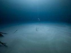 Karya Jawara Ocean Photography Awards Pukau Mata