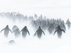 Karya Jawara Ocean Photography Awards Pukau Mata