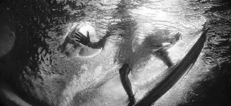 Ocean Photography Awards 2020