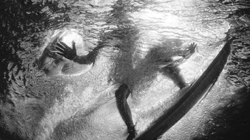 Posisi kedua Photographer of The Year diraih Sacha Specker. Foto: Ocean Photography Awards