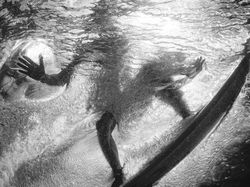 Karya Jawara Ocean Photography Awards Pukau Mata