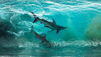 Posisi kedua Adventure Photographer of the Year diraih Sean Scott. Foto: Ocean Photography Awards