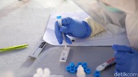 Kepala Terminal Kampung Rambutan Made Jony menuturkan pihaknya menyediakan 800 test kit swab test antigen. Namun setiap hari kuota tes dibatasi.