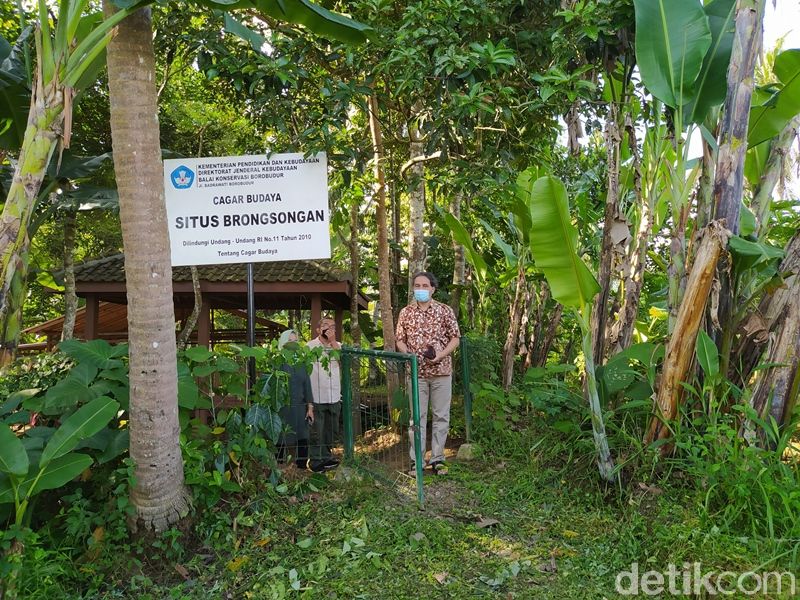 Situs Dipan dan Brongsongan
