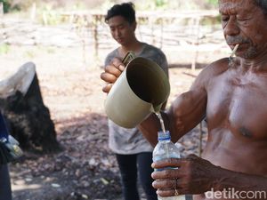 Tuak Khas Malaka Wajib Ada di Upacara Adat, Tak Diizinkan Pemerintah