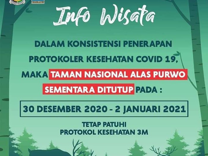 taman nasional alas purwo