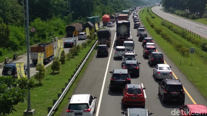 Tol Palikanci