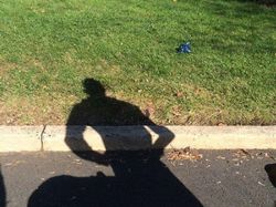 Ketika Bentuk Bayangan Tak Sesuai Objek Aslinya