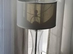 Ketika Bentuk Bayangan Tak Sesuai Objek Aslinya