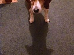 Ketika Bentuk Bayangan Tak Sesuai Objek Aslinya