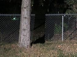 Ketika Bentuk Bayangan Tak Sesuai Objek Aslinya