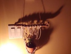 Ketika Bentuk Bayangan Tak Sesuai Objek Aslinya