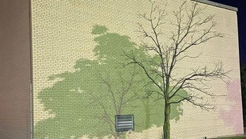 Dalam bayangan, pohon begitu lebat akan daun, tapi aslinya tanpa daun sama sekali. Foto: Brightside