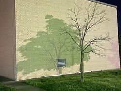 Ketika Bentuk Bayangan Tak Sesuai Objek Aslinya